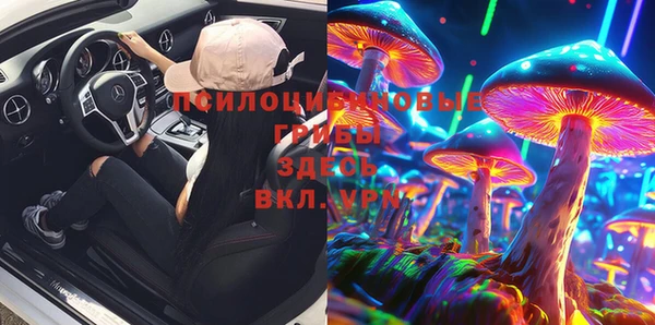 прущие грибы Верхний Тагил