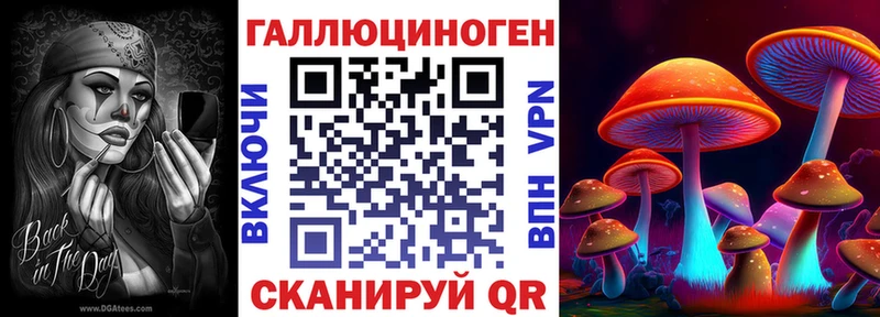 кракен маркетплейс  Кострома  Галлюциногенные грибы Cubensis 
